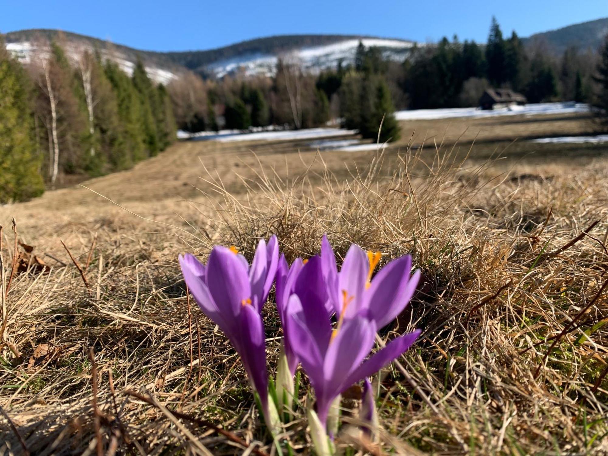 Romanka Zabnica Buitenkant foto