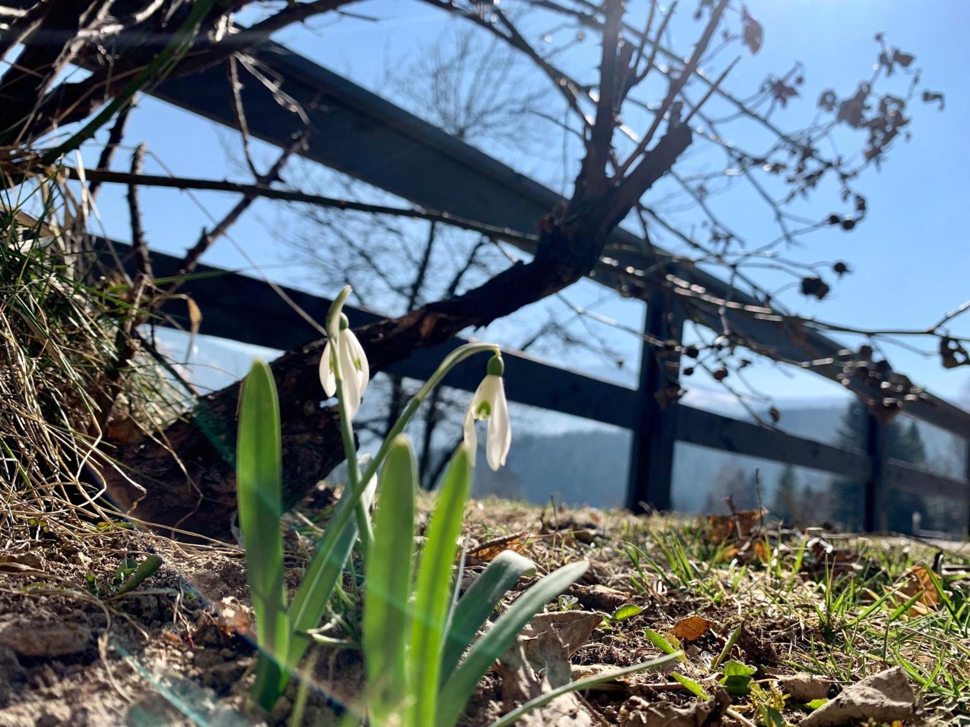 Romanka Zabnica Buitenkant foto