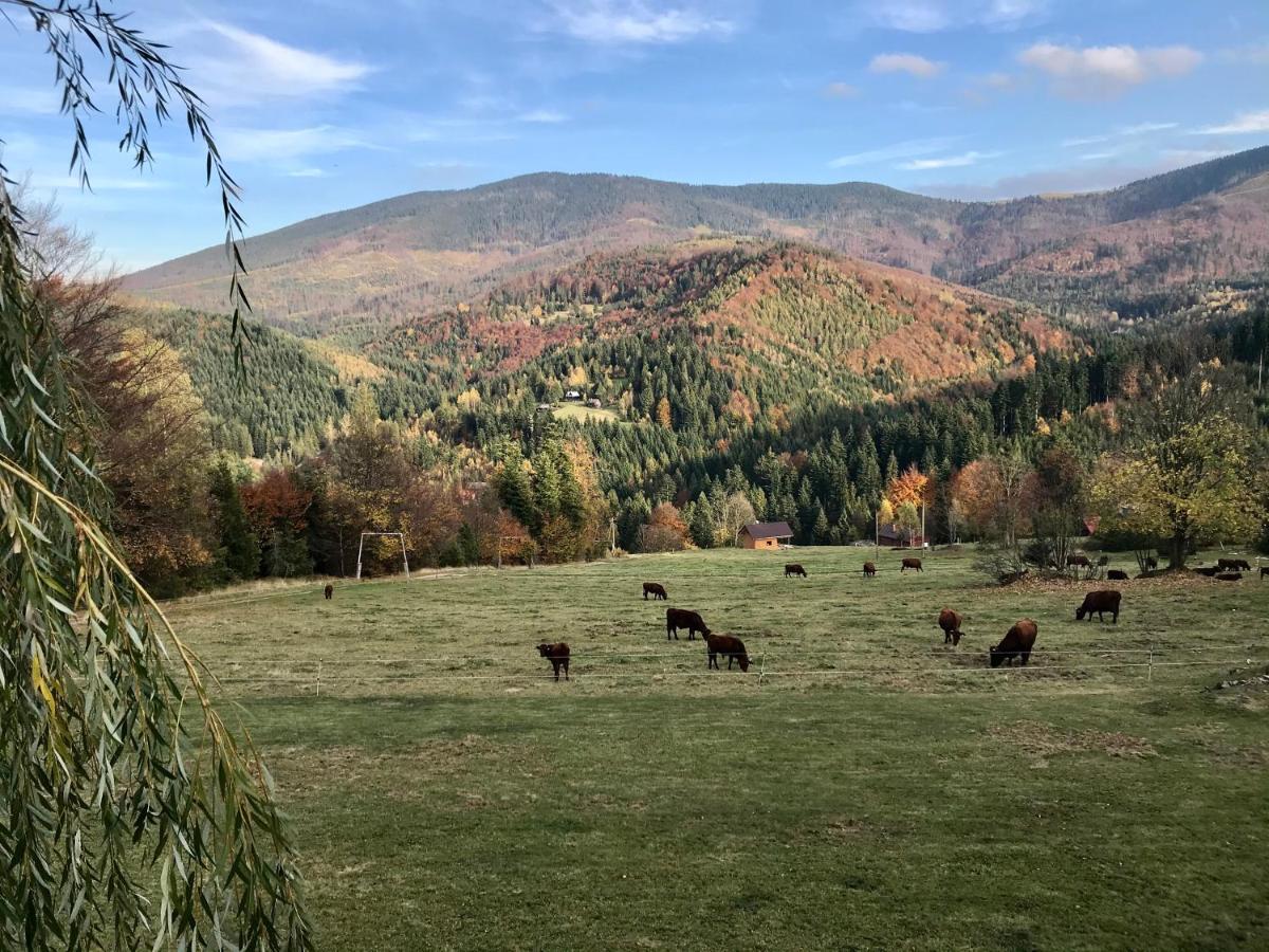 Romanka Zabnica Buitenkant foto